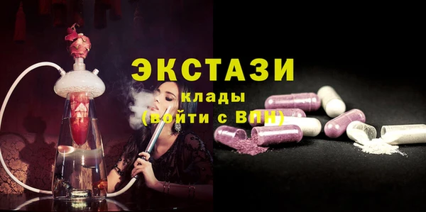гашик Вяземский