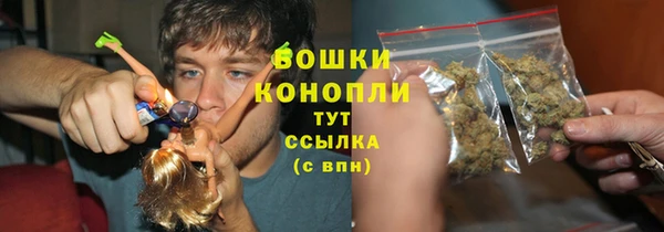 гашик Вяземский