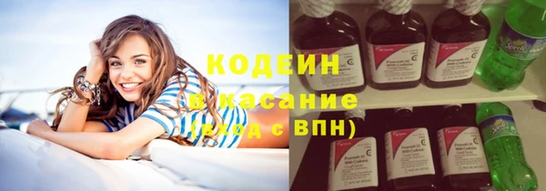 гашик Вяземский
