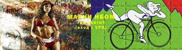гашик Вяземский