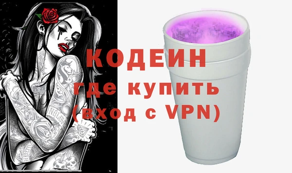 гашик Вяземский