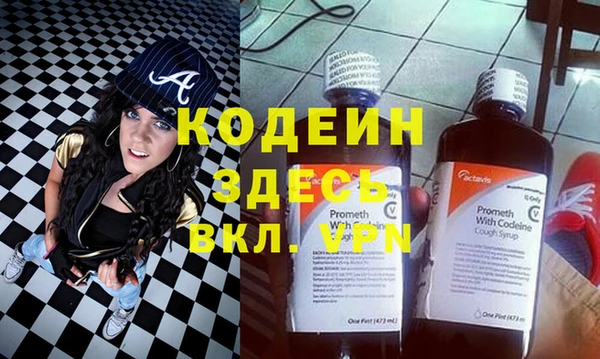 гашик Вяземский