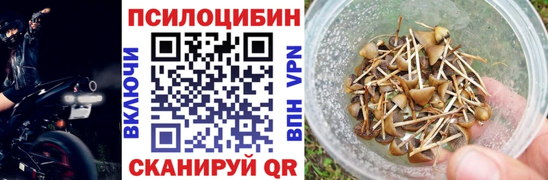 где продают   кракен ССЫЛКА  Псилоцибиновые грибы ЛСД  Зеленогорск 