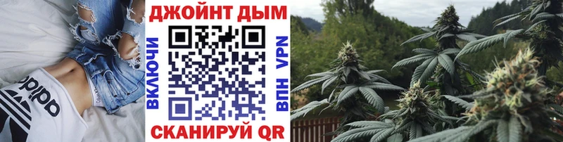 дарнет шоп  kraken как войти  Бошки марихуана сатива  Зеленогорск 